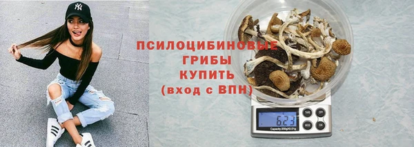 эйфоретик Михайлов