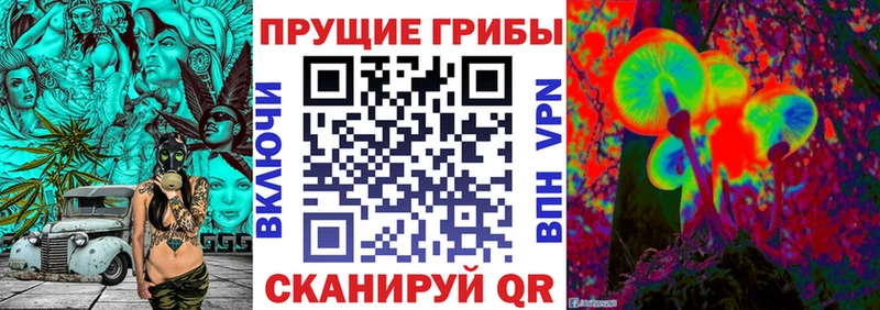 Галлюциногенные грибы MAGIC MUSHROOMS  Купить  Домодедово 