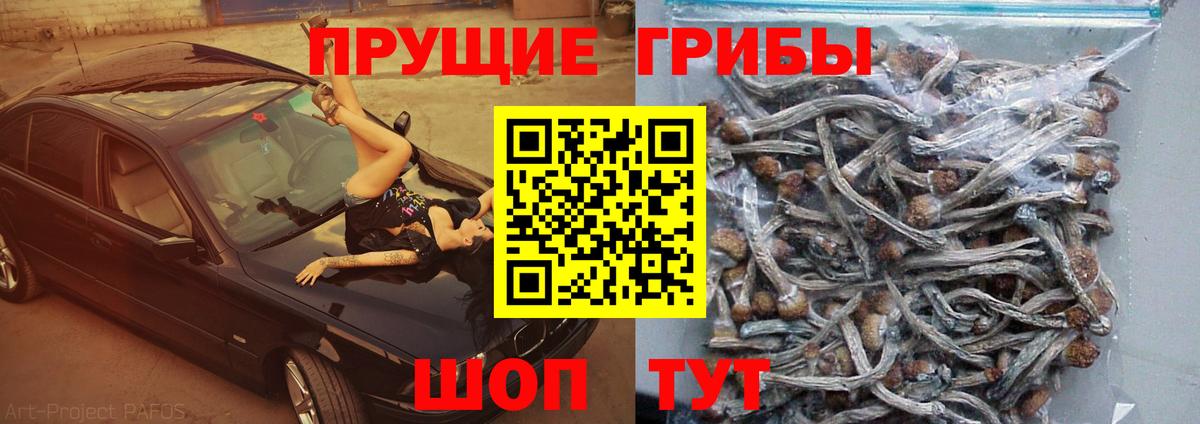 Псилоцибиновые грибы Psilocybine cubensis  даркнет сайт  Домодедово  Вход с VPN 