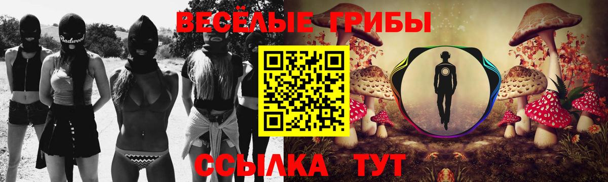 дарнет шоп  Галлюциногенные грибы мицелий  Домодедово  Псилоцибиновые грибы ЛСД 